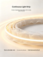 Bande lumineuse LED pour plafond, en acier inoxydable, pour extérieur, camping, restaurant, ambiance, décoration de mariage, fabricant