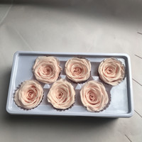 Roses Éternelles Naturelles Véritables Conservées de 5-6 cm en Gros