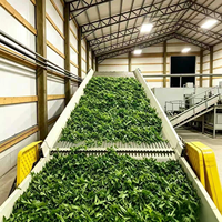 Multi-tier SS304 gaasbanddroogmachine voor voedsel, snacks en dierenvoer, continue droger