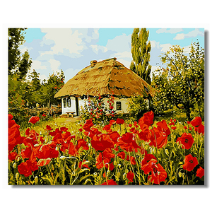 Pittura colorata per adulti con numeri babilonia Premium casa fiore <span class=keywords><strong>di</strong></span> papavero 40*50CM pittura con numeri - Product Image 2