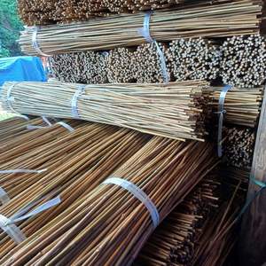 Estacas de bambú personalizadas 100% | Fábrica de Vietnam | Tratamiento para soporte de plantas - Product Image 4