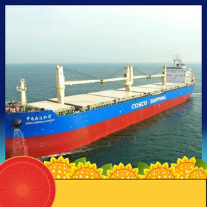 Service d'expédition porte-à-porte par voie maritime et aérienne LCL FCL Ruixiang Africa Line, logistique et commerce en Afrique - Product Image 3