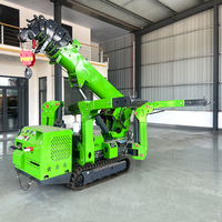 Grue araignée à flèche longue Yitaiwei YTW3.0 Diesel, hauteur de levage 9,2 m, capacité 3000 kg, 3t, 5t, 8t, 10t, 12t, homologuée CE, faible consommation de carburant