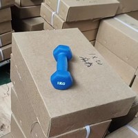 Haltères de gommage en fer et en néoprène pour femmes Équipement de fitness durable pour la maison pour un usage domestique