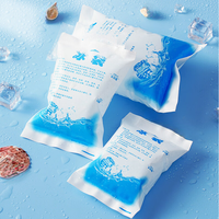 Packs de glace sèche réutilisables et durables personnalisés pour les aliments et les boissons avec logo