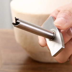 Abridor de cocos de acero inoxidable, perforador rápido para cocos frescos, insertador de pajitas, herramienta específica para cocos, solo lavar a mano - Product Image 1