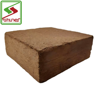 Briques de coco coco pour la croissance naturelle des plantes brique de noix de coco cultiver plante sol moyen compresse tourbe de noix de coco cultiver bloc de coco coco