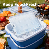 Brique de glace en gel réutilisable PE 1000ml avec sérigraphie pour le refroidissement des aliments, le barbecue et le pique-nique.