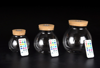 Vente en gros de vase en verre belle Aquascape effet d'éclairage télécommande lumière réglable bel ornement décorations d'intérieur