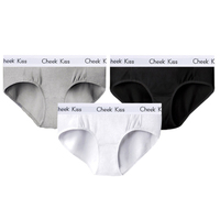 Culottes personnalisées pour femmes, sexy, sous-vêtements de tous les jours, sans couture, 100% coton tricoté
