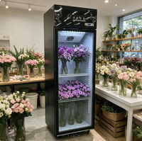 Réfrigérateur OEM 1 Porte pour Fleuriste – Équipement de Réfrigération pour la Conservation des Fleurs Fraîches