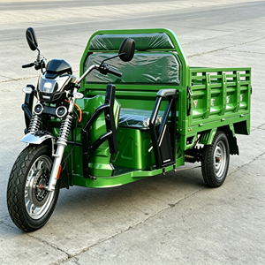 Tricycle cargo avec double certification EEC COC, boîte de chargement de 1,6 m, capacité de charge de 500 kg <span class=keywords><strong>pour</strong></span> le marché européen, 40 km/h - Product Image 3