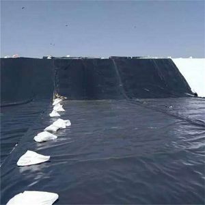 Bâche en géomembrane HDPE pour bassin, usage extérieur, épaisseur 1,5 mm/2,0 mm, imperméable, durable, <span class=keywords><strong>film</strong></span> agricole pour élevage, garantie 3 ans - Product Image 2