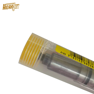 Bomba de Combustible Diésel Completa de Alta Calidad, Émbolo 2418455022 2455-022 2 418 455 022 para Piezas de Excavadora - Product Image 3