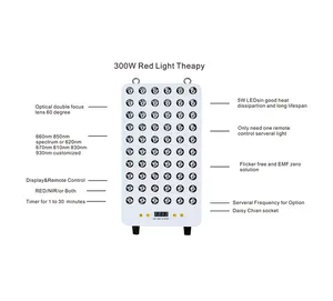 Bonliter Verified Supplier OEM ODM Hot Selling 300W Led Face Red Light Therapy Panel for Stand Photon Therapy