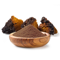 Poudre d'extrait de champignon Chaga, 30% de polysaccharides, naturelle, pour compléments alimentaires et boissons