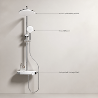 Ensemble de douche mural en laiton pour salle de bain, avec pommeau de douche pluie rond et douchette à jet doux sur rail, pour projets de rénovation hôtelière