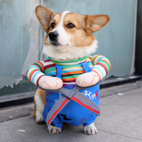 Costume d'Halloween pour chien et chat en polyester, modèle Edward Scissorhands - Tailles S à XL, tenue de transformation amusante