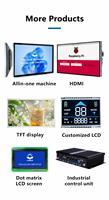 Panel Layar Sentuh LCD 10.1 Inci 1024*600 & 1280*800 Terintegrasi, Panel Sentuh Kapasitif Industri dengan Sistem Operasi Android dan Koneksi