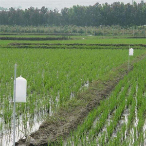 Trappola ad alta efficienza per il controllo del chilo di riso (Chilo Suppressalis) con feromoni per la gestione dei parassiti nei campi di riso - Product Image 6