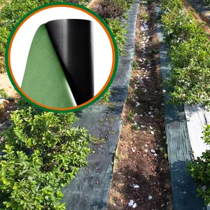 Double Layered Black And Green Film Tunnel Horticultural Greenhouse For Farming UV Stiblished Weed Control Mat