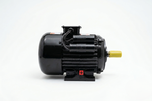 Motor de Inducción Monofásico de Alta Resistencia Bhavi Industries BI-2-CH 2HP 2kW 210-230V 12.5A 1500RPM 95mm IE2 TEFC Montaje en Pedestal - Product Image 3