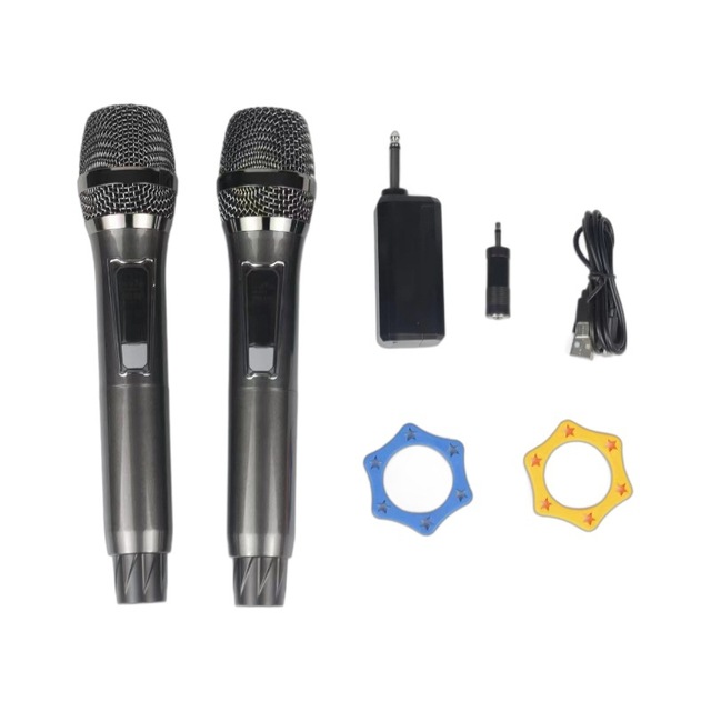 Economical Price Microphone Wireless Karaoke True Diversity Wireless Microphone 2 Channels Receive Mic for Stage