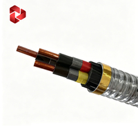 Cable ESP con Aislamiento de Goma de 5KV y Armadura de Cinta de Acero Galvanizado
