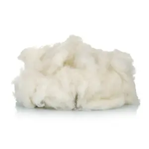 Prix de gros Usine fournisseur 19.5-22.5mic Fiber Cardée Blanc Naturel 100% Laine de Mouton crue