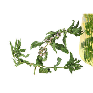 Bulk High Quality Natural Dried Herbs <strong>Tea</strong> <strong>Spearmint</strong> Leaves <strong>Spearmint</strong> Leaf <strong>Tea</strong> - Product Image 6
