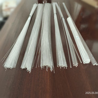 Câble à fibres optiques en matériau PS de taille mince déjà coupé des brins de fibres optiques rougeoyants pour la décoration fête Table fleur veilleuse