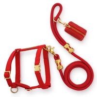 Laisse ronde robuste et résistante avec harnais assorti pour chien, sac à crottes, ensemble d'articles pour chien pour chiens de petite et moyenne taille, promenade en ville, jeu