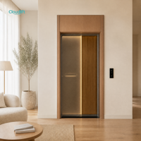 Mini-ascenseur domestique en acier inoxydable de 250 kg, certifié CE ISO, pour villa à 2 étages |   Ascenseur résidentiel au design moderne, vente directe d'usine