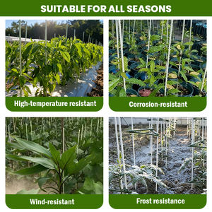 أعمدة دعم نباتات من الألياف الزجاجية الصلبة المضادة للشيخوخة، أعمدة FRP للحدائق/دعم الأشجار، أعمدة الطماطم - Product Image 6