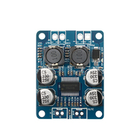 Carte d'amplificateur de puissance audio numérique mono 32 broches, 12V-24V CC, TPA3118, 60W, module d'amplificateur, puce 32P, puce d'origine