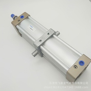 Cylindre pneumatique Aitac Si63x100 S Tc, corps en aluminium, type général - Product Image 3
