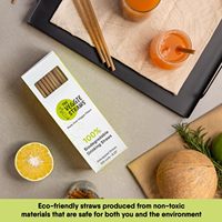 Bagasse de canne à sucre jetable 6*200mm paille compostable Smoothie Cocktail Milkshake jus boisson froide