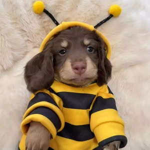 Sudadera Adale con Diseño de Abeja de Dibujos Animados, Anticaída del Pelo, para Gatos y Perros Pequeños, Protección Contra el Viento en Invierno, Ropa para Mascotas para Todas las Estaciones - Product Image 5