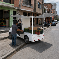 Camion de fret SQ4 en gros, mini-fourgonnette électrique à 4 roues et siège unique, homologuée CEE, pour livraison longue portée, personnalisable