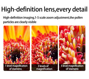 Mikroskop Pembelajaran STEM Genggam Layar 2 Inci Zoom Optik 1000X untuk Pengamatan Serangga di Luar Ruangan - Product Image 6