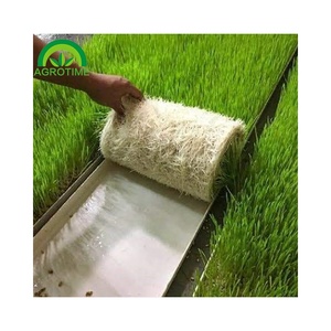 indoor plastic hydroponic fodder tray hydroponic fodder tray low cost fodder solutions