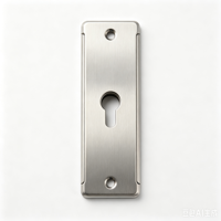 Plaque de finition latérale Orbita en acier inoxydable pour cylindre de serrure avec support pour cartes Mi/RFID/TEMIC/IC/magnétiques – Options noir/blanc