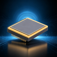 Capteur thermique LWIR RTDS123C 12 µm 1280x1024 40mk NETD Microbolomètre VOx Boîtier céramique pour vision nocturne et surveillance de sécurité