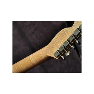 <span class=keywords><strong>Guitarra</strong></span> Eléctrica HC-TL de Diseño Original Hecha a Mano - MOQ 1 Pieza, Color Personalizado, Logotipo Adicional y Más - Product Image 6