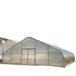 カナダTMG20ftx40ftフット温室ガーデン温室植栽テントホワイト断熱材