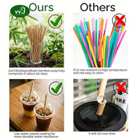 Pailles à boire en fibre de bambou biodégradables et compostables VVG, pailles à boba personnalisées en papier, emballées individuellement pour le thé à bulles et le café