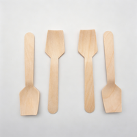 Mini houten lepeltjes, verpakking van 100, wegwerp vierkante proeflepeltjes, lepeltjes voor yoghurt en ijs