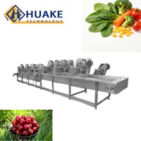 Industriële continue bubbelwasmachine, volautomatische reinigingsapparatuur voor bladgroenten, fruit en bessen