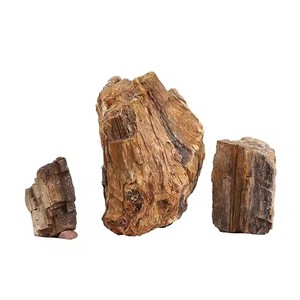 fossiles treibholz sortierte zweige bonsai aquarium natürliche treibholz-zubehör reptilien-dekoration ornament - Product Image 6
