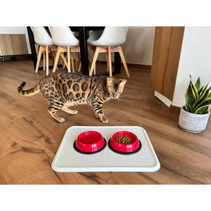 ชามใส่น้ำสัตว์เลี้ยงทำจากพลาสติกพรีเมียมแบบอิตาลีตัวป้อนอัตโนมัติแบบพกพาทรงขวดสูงสำหรับใช้เดินทางกลางแจ้ง - Product Image 1